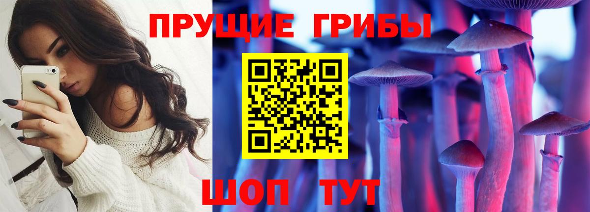 Великие Луки  Псилоцибиновые грибы прущие грибы  Вход с VPN 